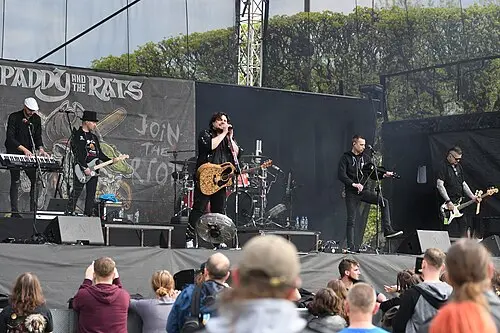 Paddy and the Rats
