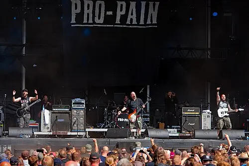 Pro‐Pain