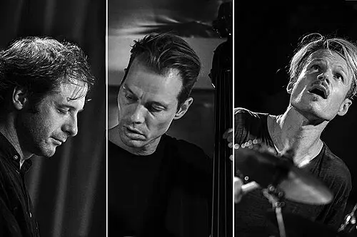 Phronesis