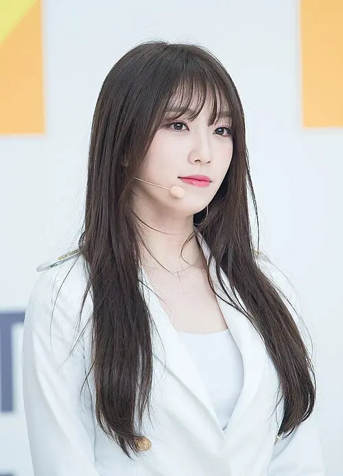 이수지