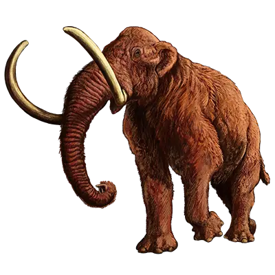 Wooly Mammoth