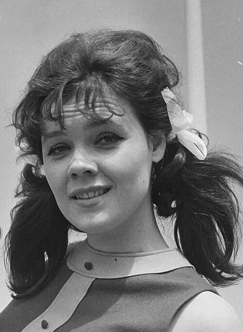 Karin Kent