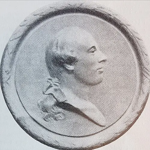 Johan Sevenbom