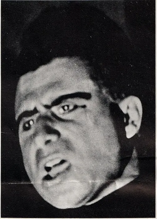 Brother Theodore