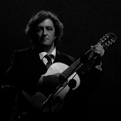 Pedro Ayres Magalhães