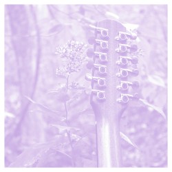 VDSQ Acoustic Series Volume 12