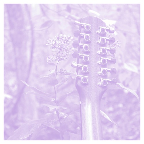 VDSQ Acoustic Series Volume 12