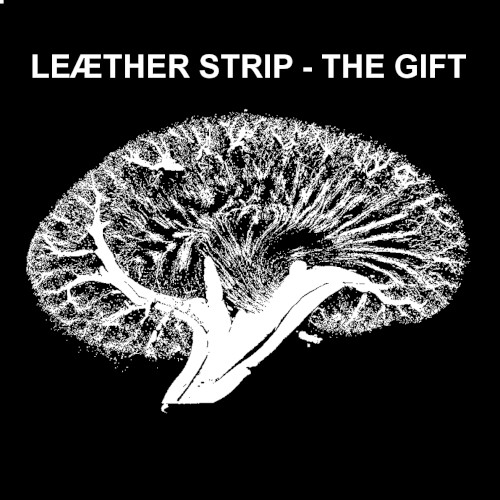 The Gift