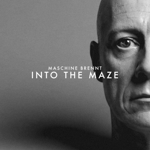 Into the Maze