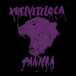 Pantera