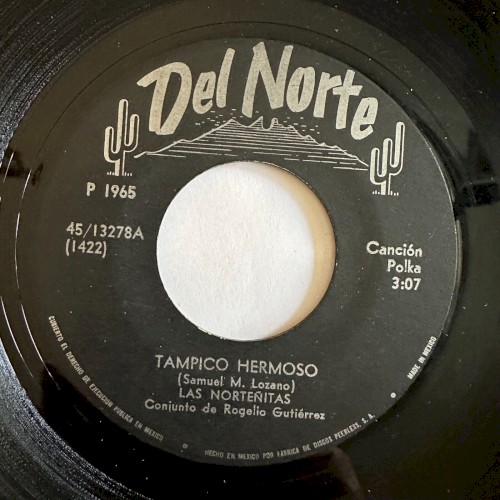 Tampico hermoso / Mi único camino