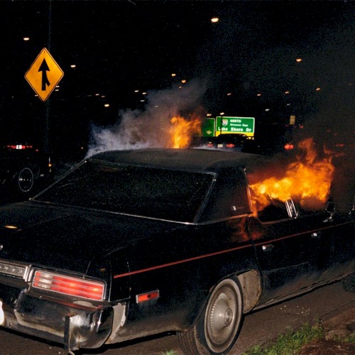 Dead-N-Gone