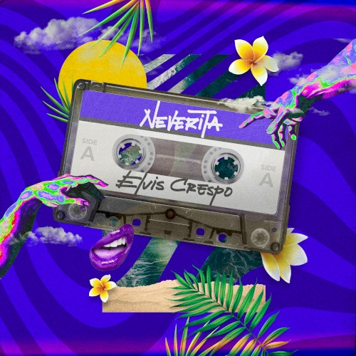 Neverita