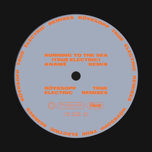 Running to the Sea (True Electric) (anamē remix)