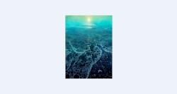 The Forlorn Waves