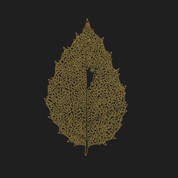 Between Leaves | Forestal