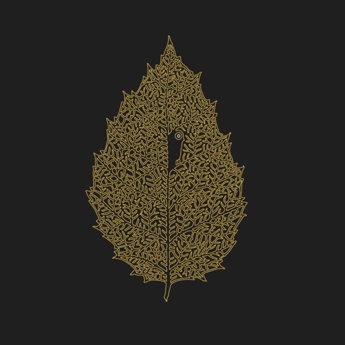 Between Leaves | Forestal