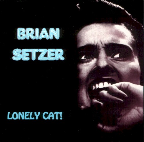 Lonely Cat!