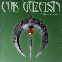 Çok Güzelsin