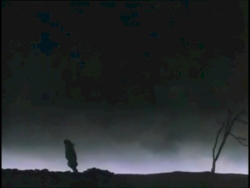 Pleiades