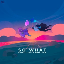 SO WHAT