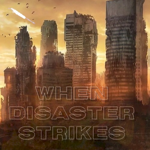 When Disaster Strikes