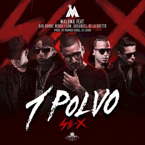 1 polvo