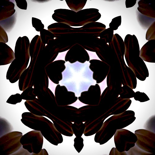 Untitled [2]