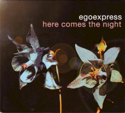 Here Comes the Night
