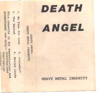 Heavy Metal Insanity