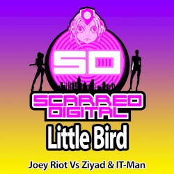 Little Bird