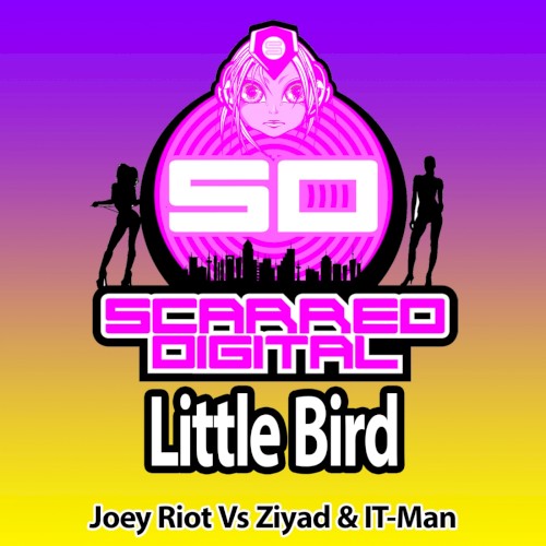 Little Bird
