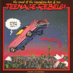 Teenage Rebels! - Spirit in the Sky
