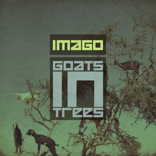 Goats In Trees