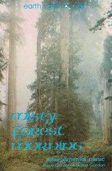 Misty Forest Morning