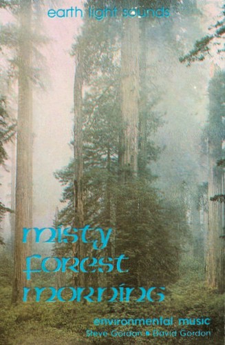 Misty Forest Morning