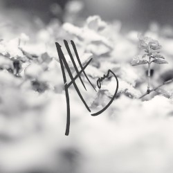 Stay