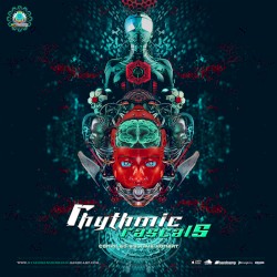 Rhythmic Collapse