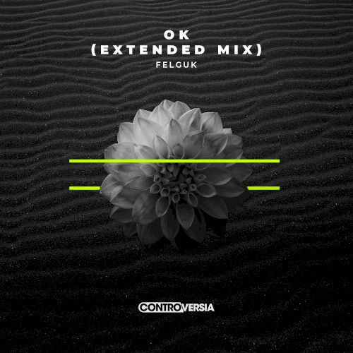OK (extended mix)