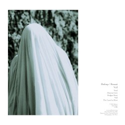 Veil