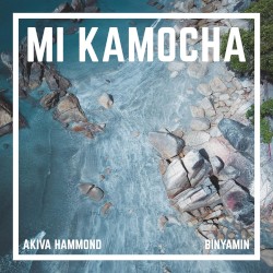Mi Kamocha