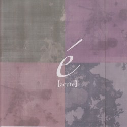 é【acute】