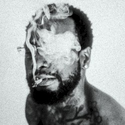 THE AMERICAN MAN