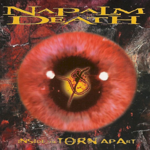 Inside the Torn Apart