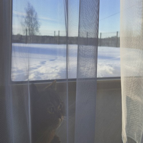 blue blanket