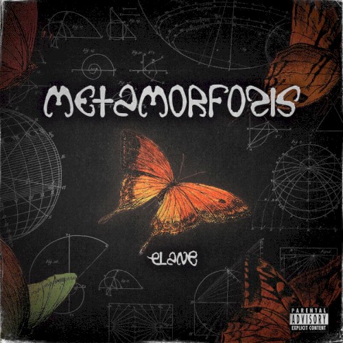 Metamorfosis