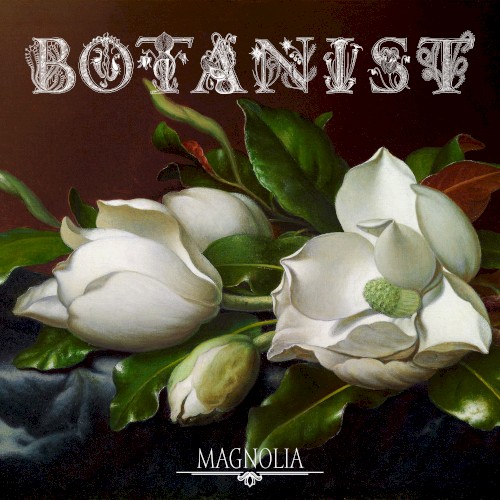 Magnolia