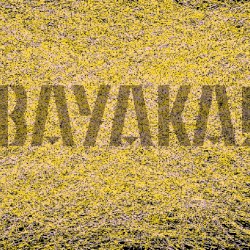 Bayaka!