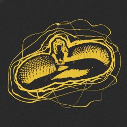 Viper Style / Lana