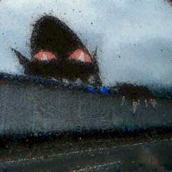 Teeth Marks
